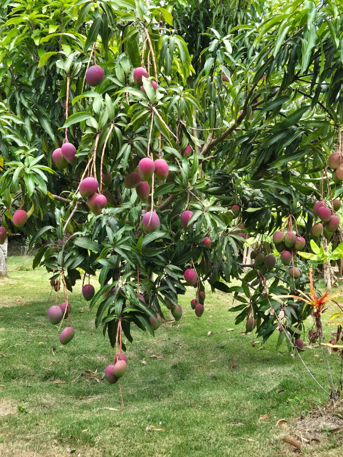 Foto de Senderos Amados 14